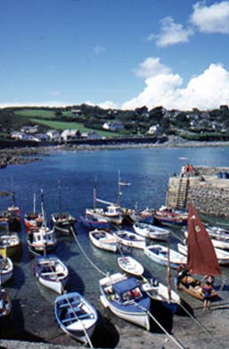 Coverack Harbour