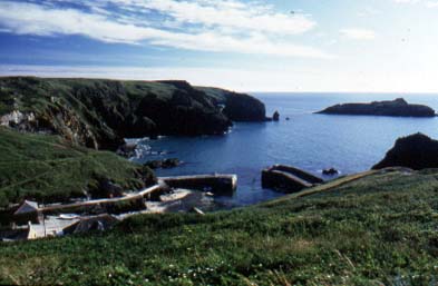 Mullion Cove on the Lizard Peninsula 