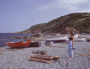 Porthallow Beach on the Lizard Peninsula - copyright P Watts